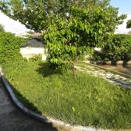 La Maison D'Ogooue Carpentras Bagian luar foto